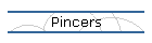 Pincers
